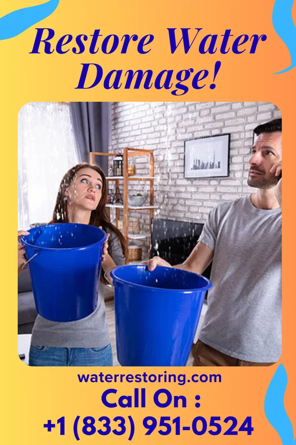 water restoration Horizon Sewage Cleanup Masters Fairview
